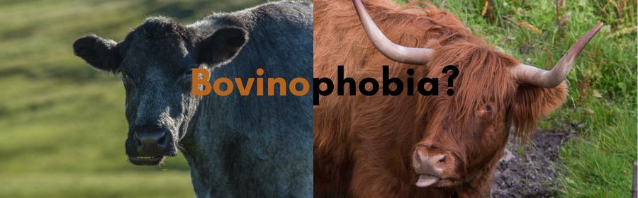 Image result for bovinophobia